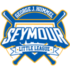 GEORGE J HUMMEL LITTLE LEAGUE